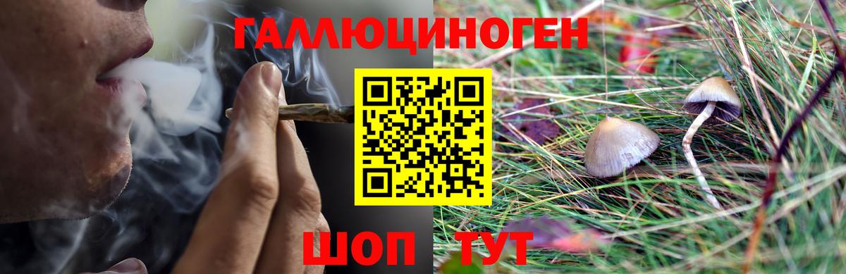 Псилоцибиновые грибы Magic Shrooms  Псилоцибиновые грибы MAGIC MUSHROOMS  Лесной  сколько стоит  Вход с VPN 